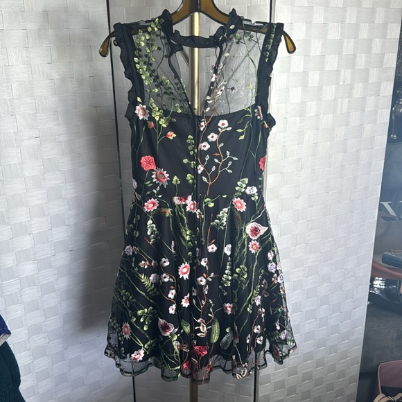 City Studio 🌟Embroidered Floral Sheer Dress - Picture 3 of 9
